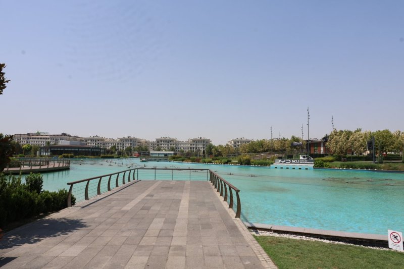 מרדכי לובעצקי