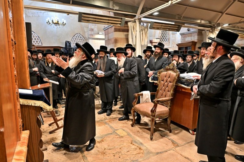 יהושע פרוכטר