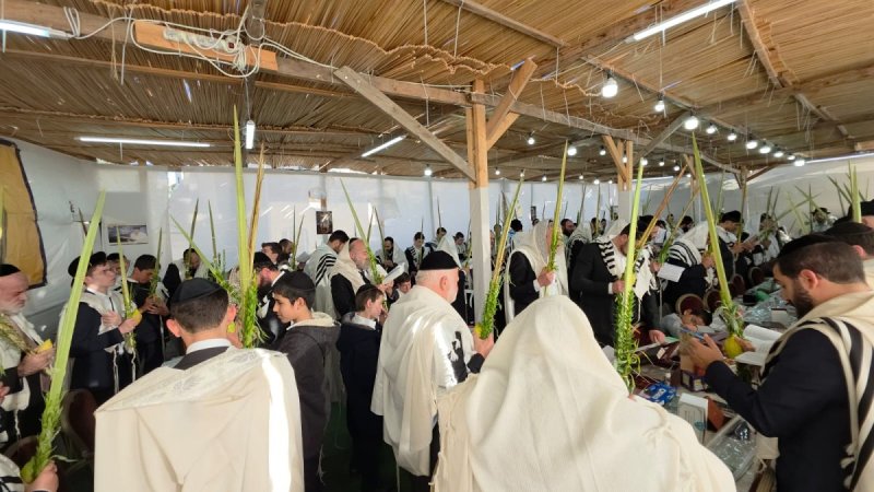 באדיבות המצלם