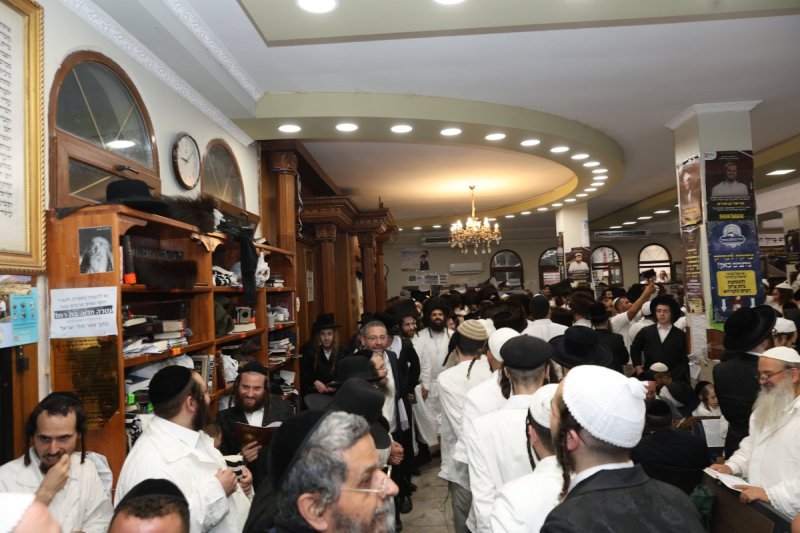 יהודה וויס