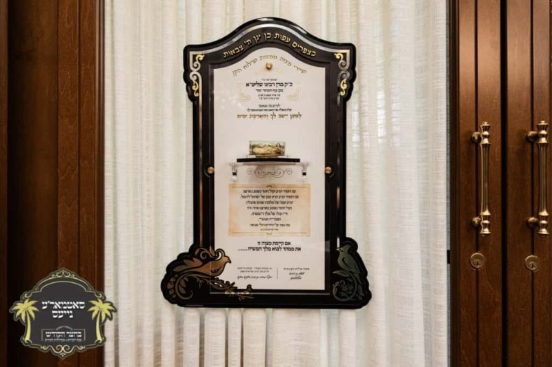 באדיבות המצלם