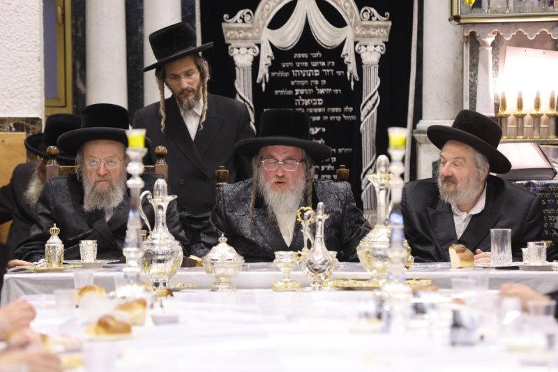 נתי אמרגי