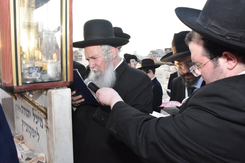 יהודה פרקוביץ