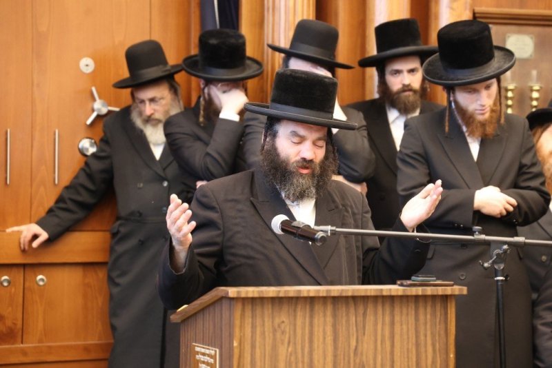 שלומי טריכטר