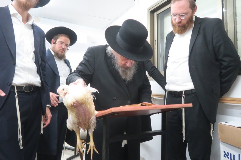 מ. אדלר