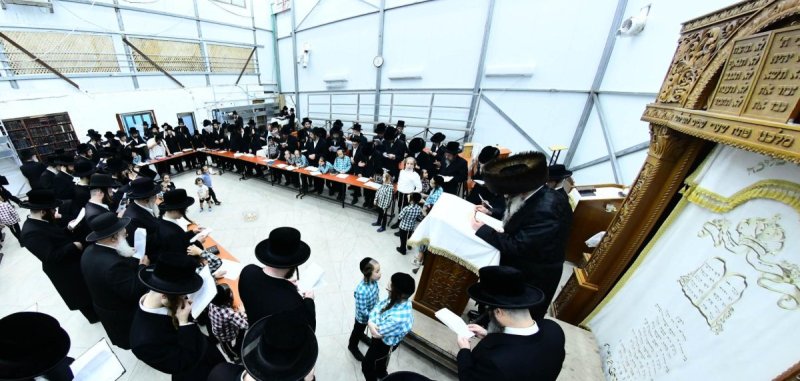 שוקי לרר