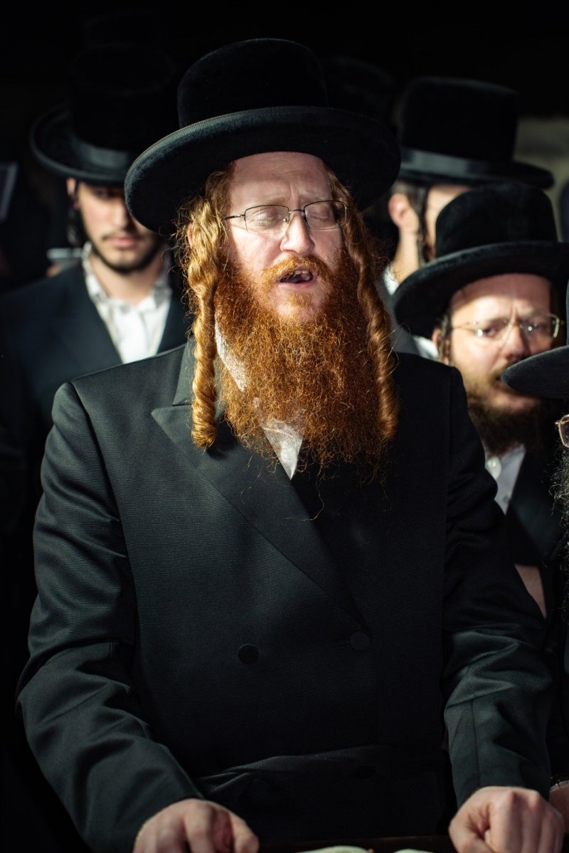 אלקנה קליין