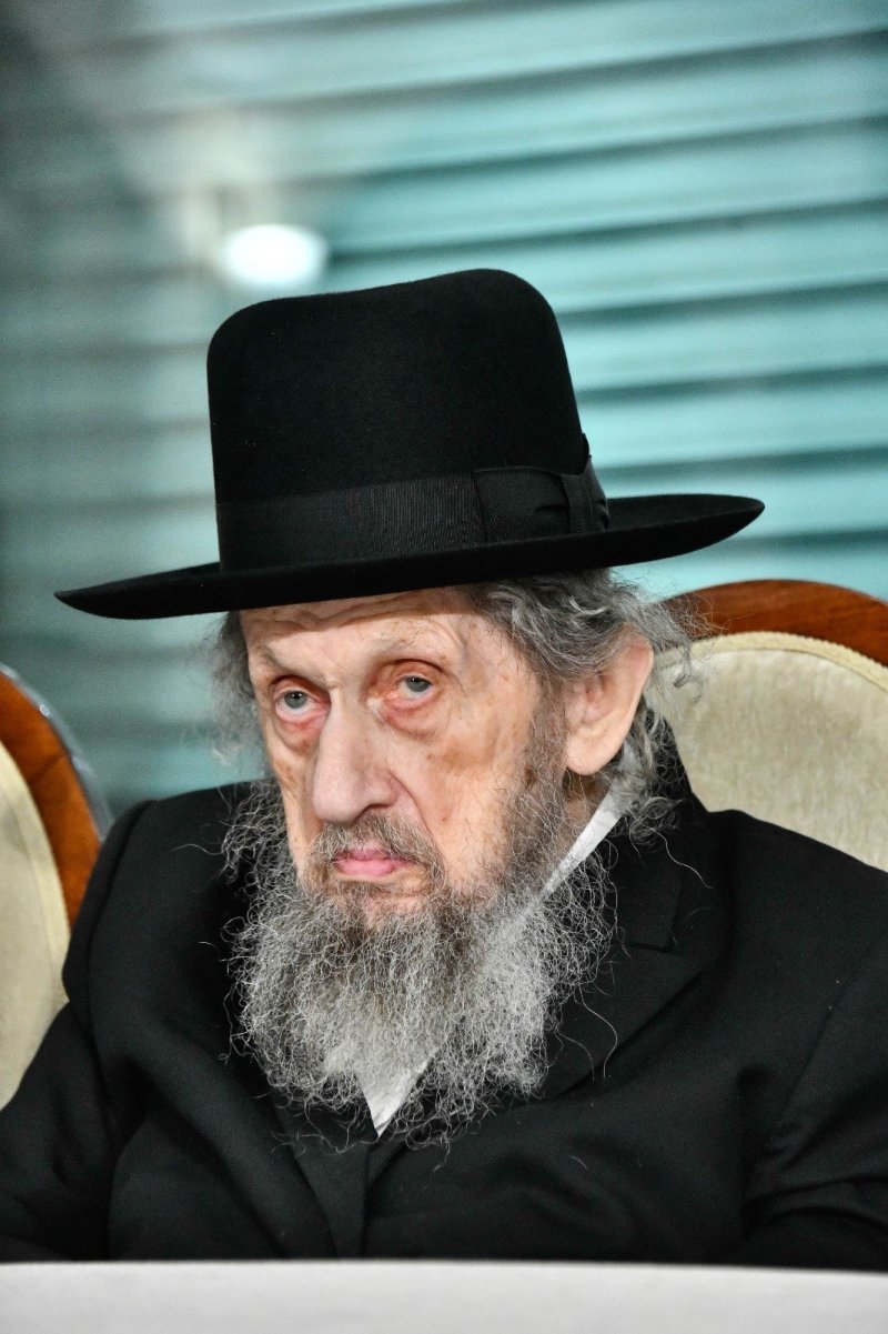 שוקי לרר ומאיר זלזניק