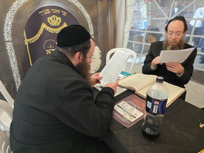 אלחנן קוטלר