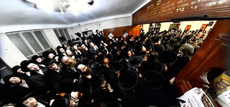 שוקי לרר