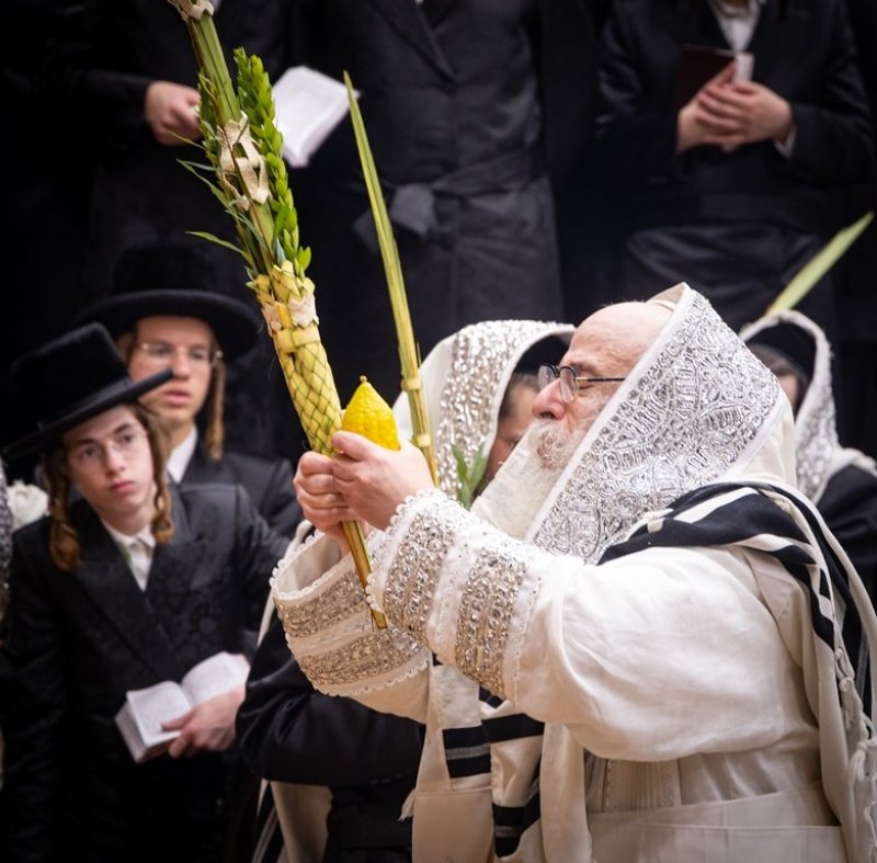 האחים לאנטשעווסקי