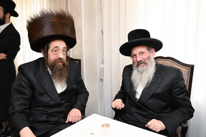 משה גולדשטיין דוד ארזני