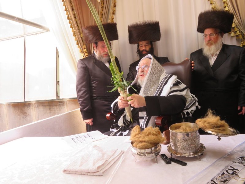 שוקי לרר