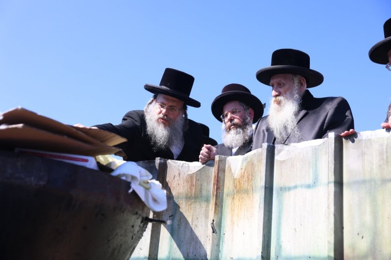 דוד כהן