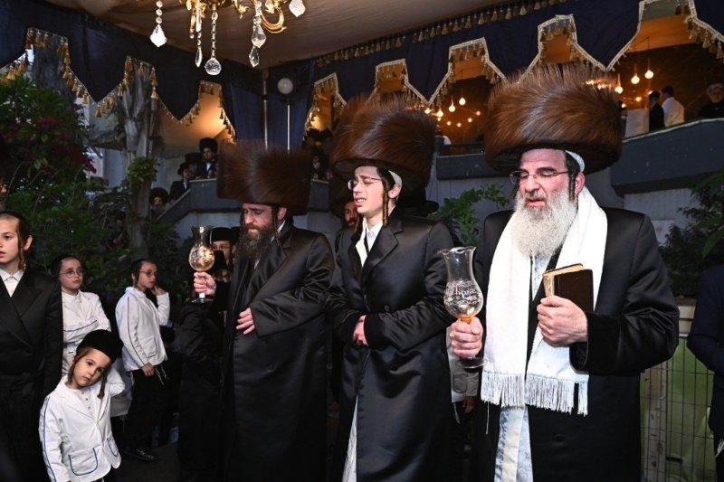 שוקי לרר