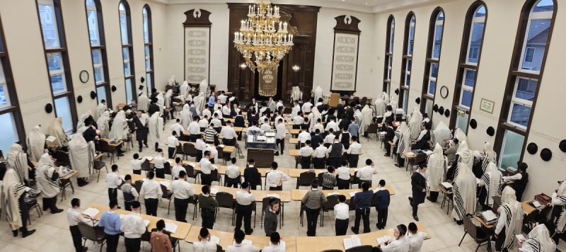 באדיבות המצלם