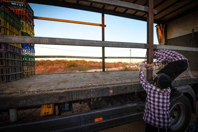 ארי קופרשטוק