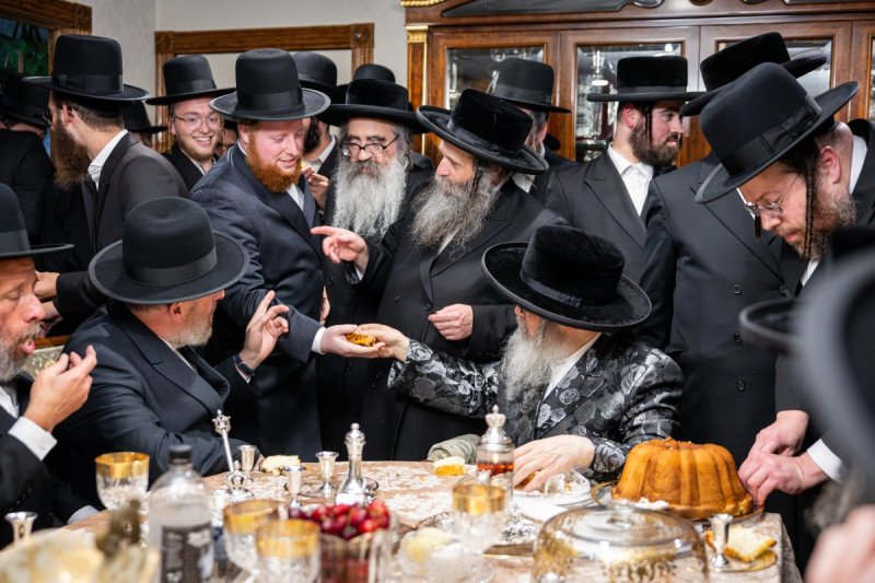 באדיבות המצלם