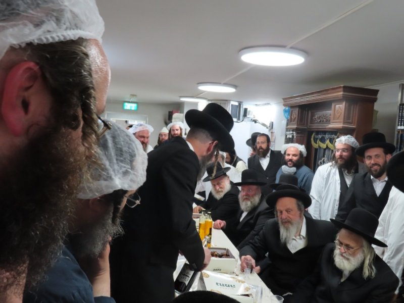 שלומי טריכטר