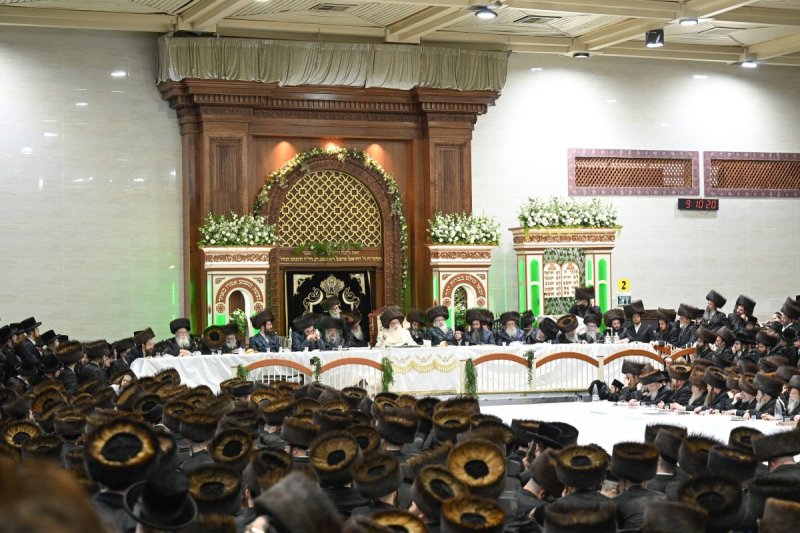 משה גולדשטיין