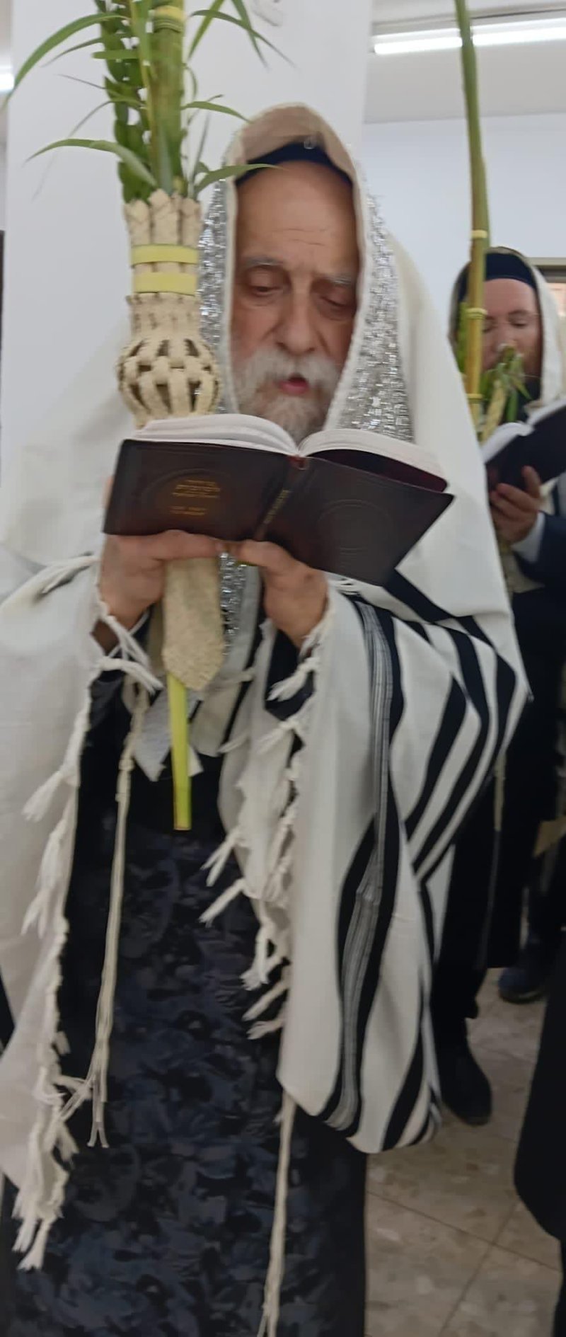 איתי קצב