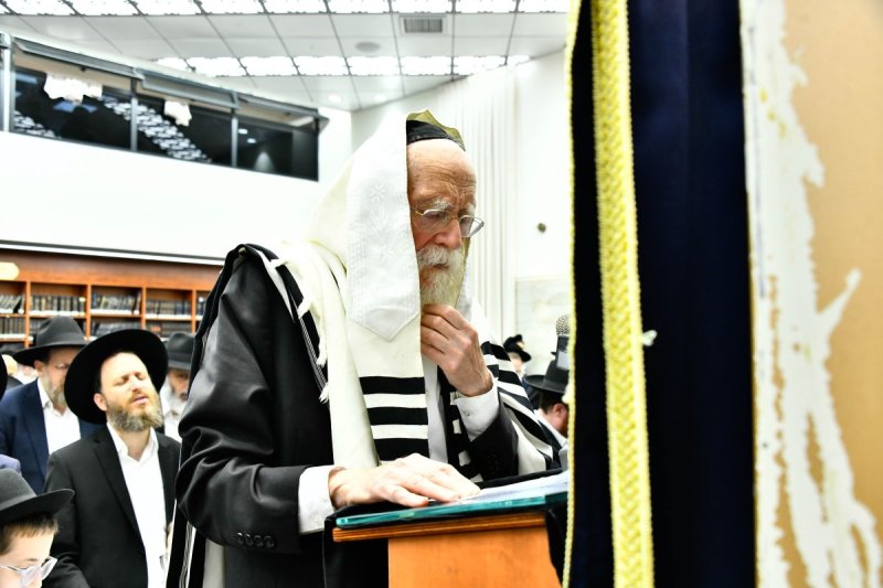 שוקי לרר