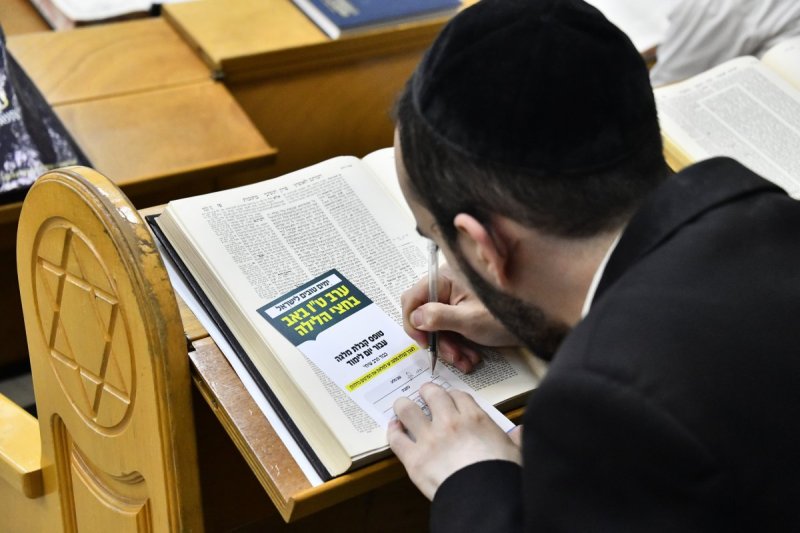 רינה של תורה