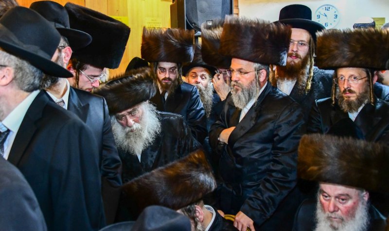 שוקי לרר