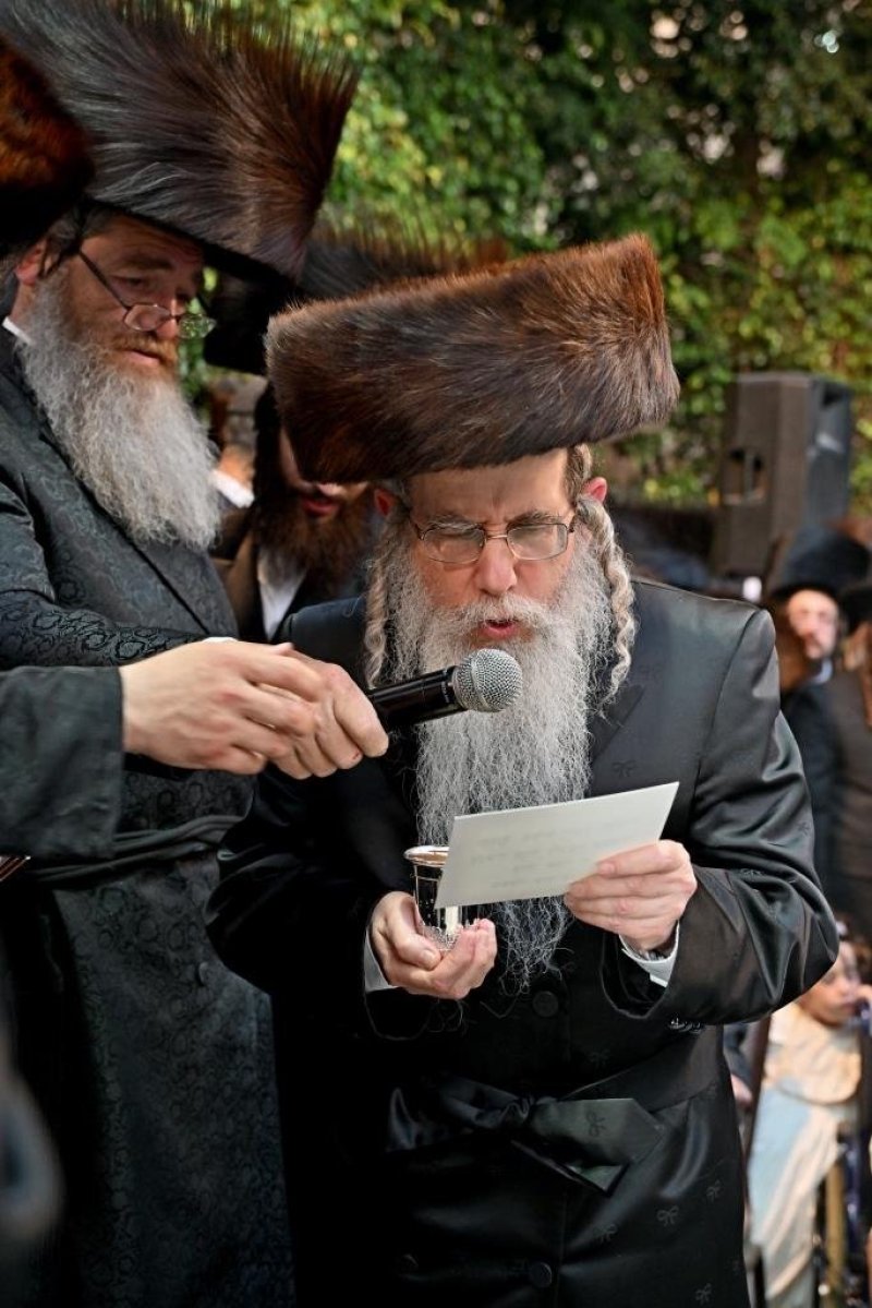 יהושע פרוכטר