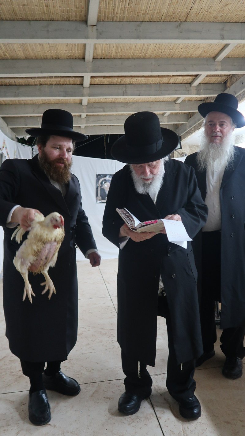 דברי חמד