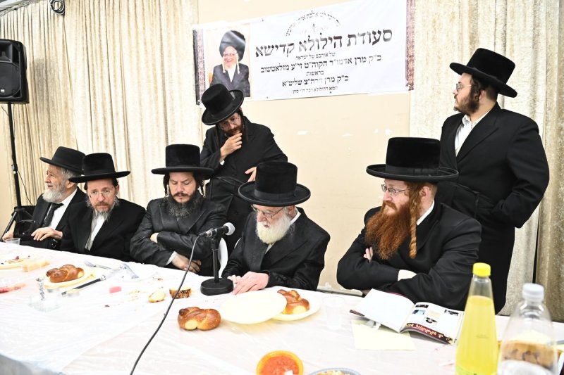 שוקי לרר