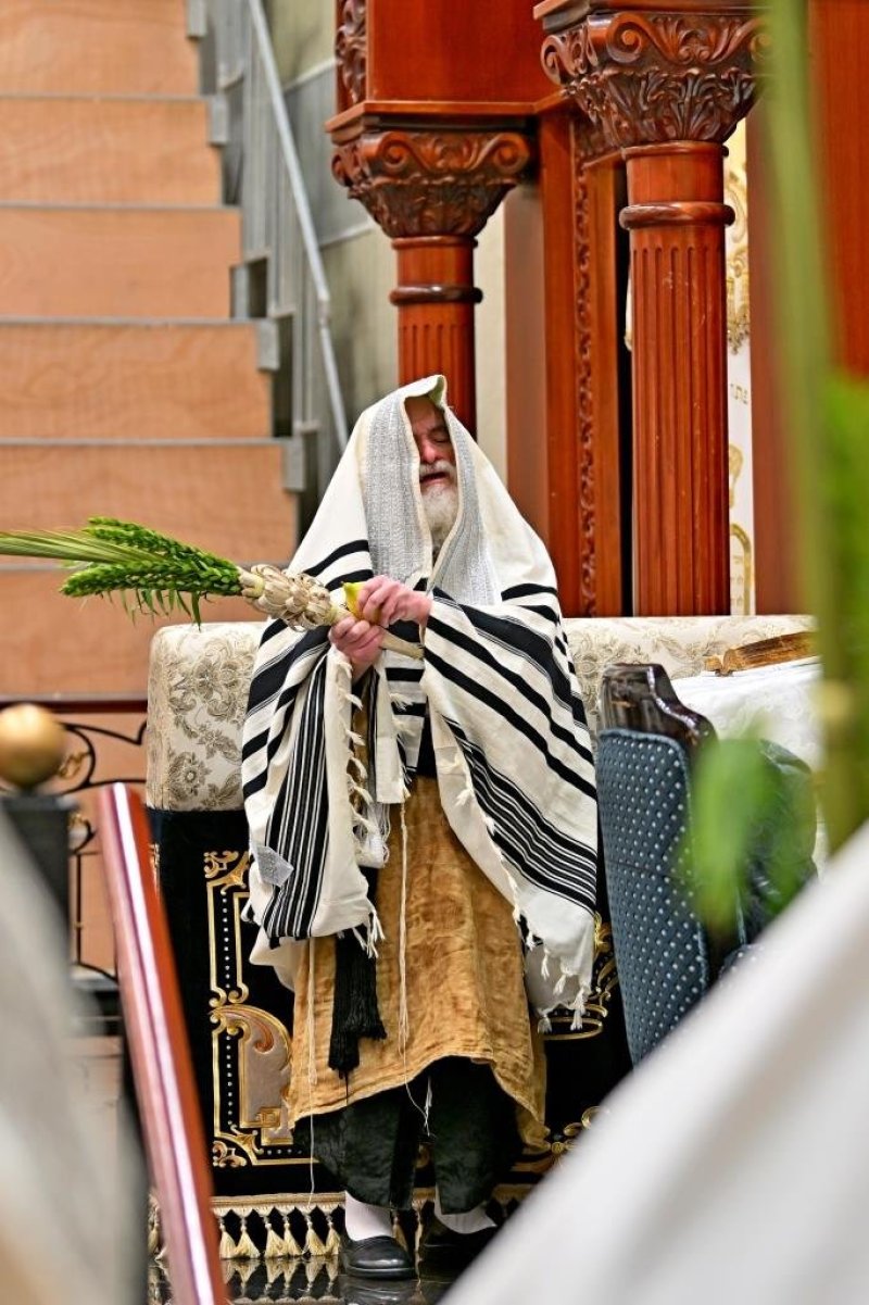 יהושע פרוכטר