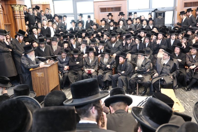 שלומי טריכטר