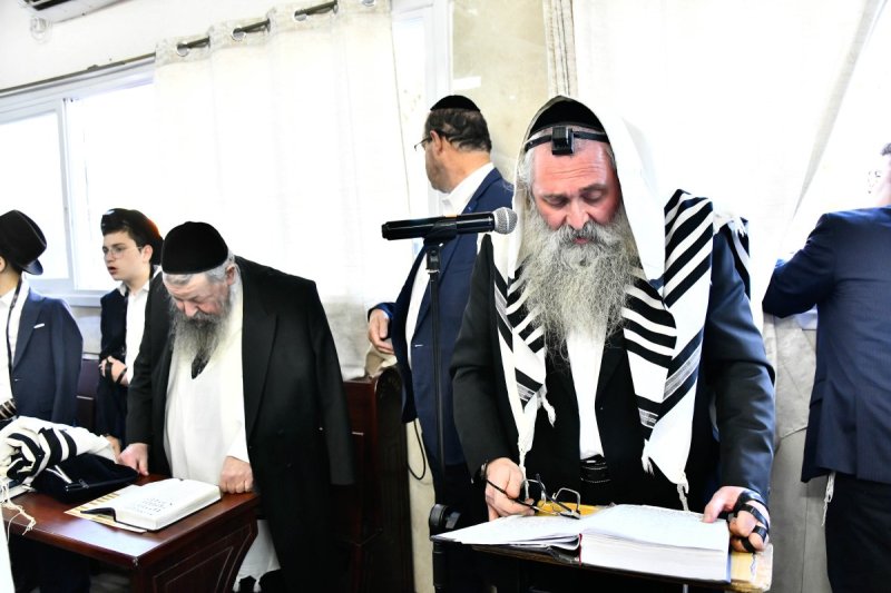 שוקי לרר