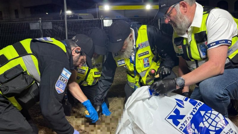 דוברות זק"א