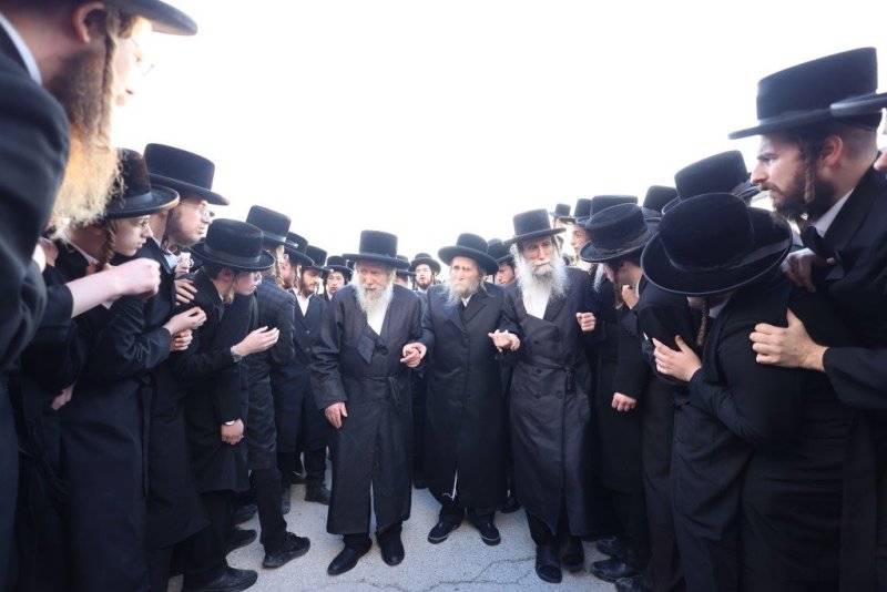 שלומי טריכטר