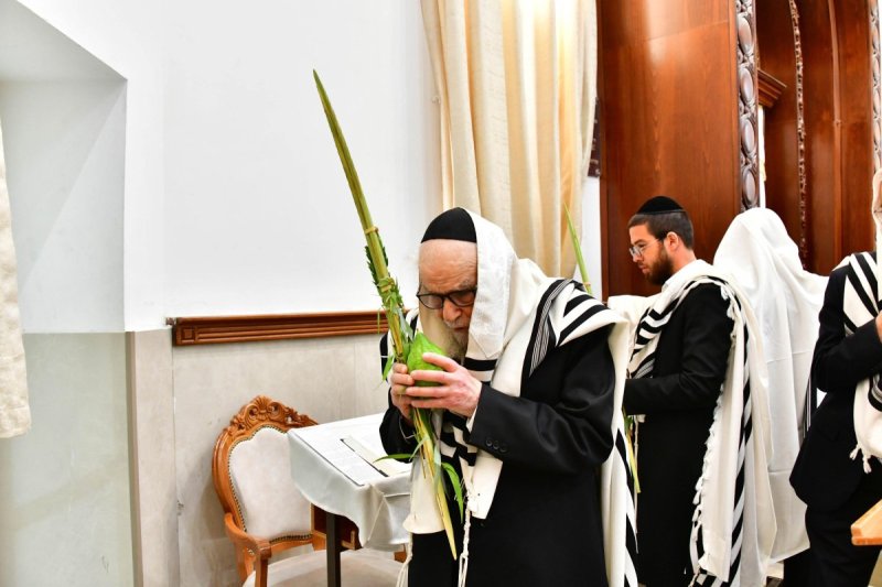 שוקי לרר