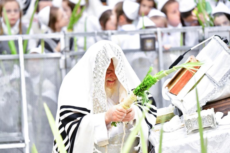 שוקי לרר