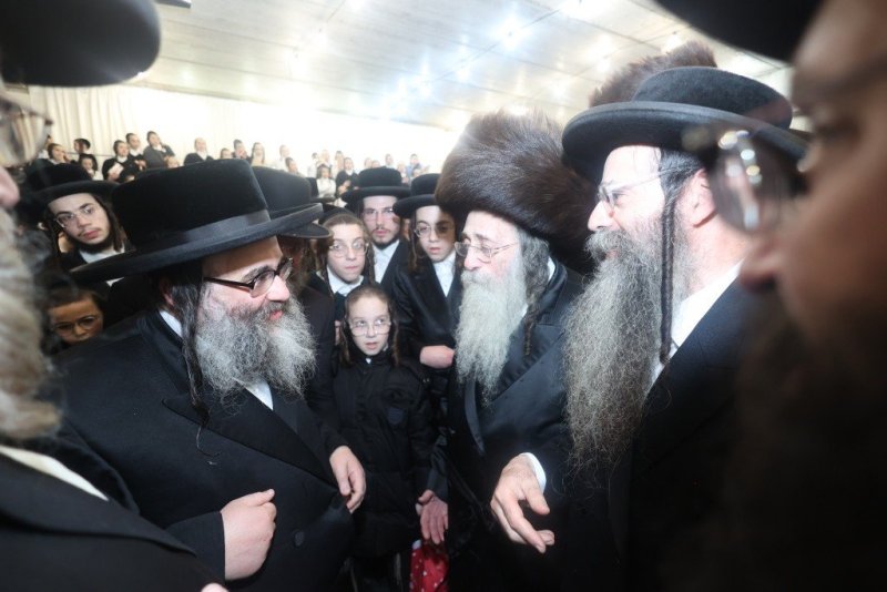 שלומי טריכטר