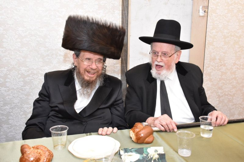 יהודה פרקוביץ