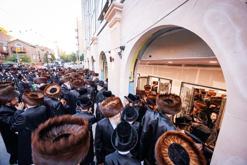 האחים לאנטשעווסקי ואושי וויינגארטן