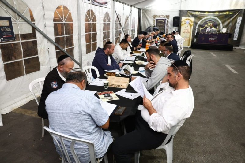 אלחנן קוטלר