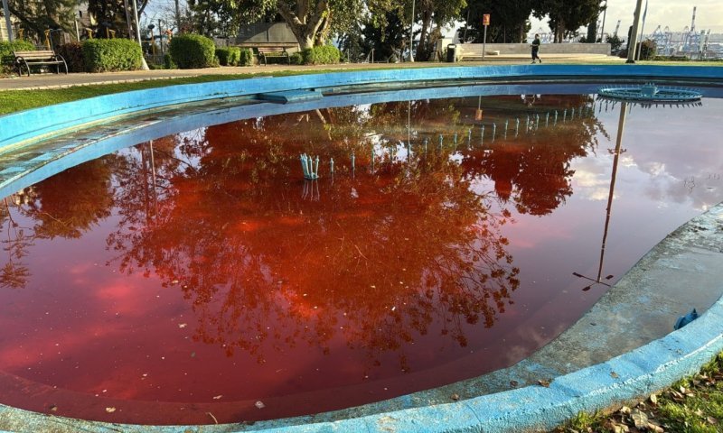 מה גרם למים במזרקה בחיפה להפוך לאדומים?