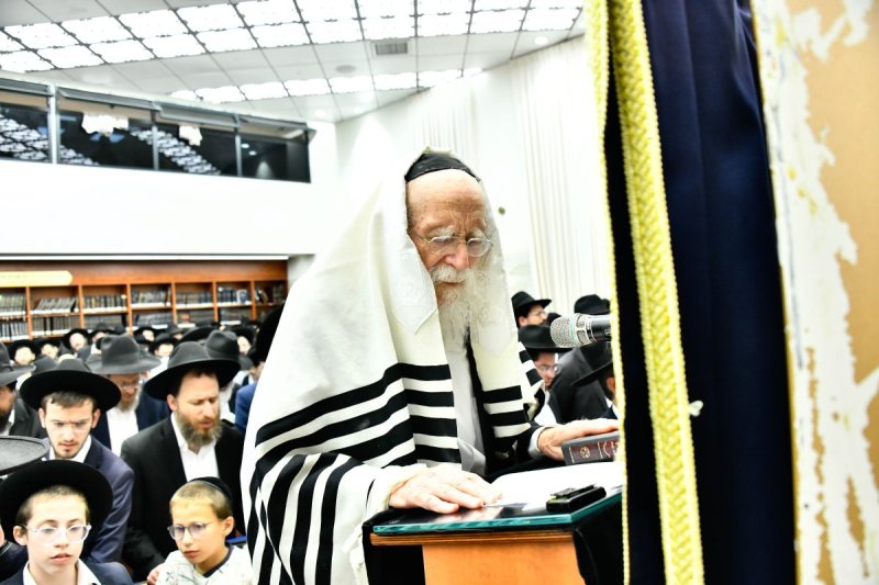 שוקי לרר