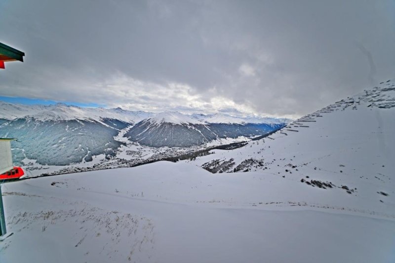 יהושע פרוכטר