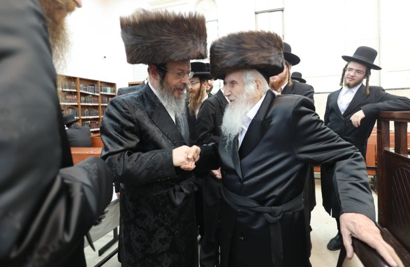 שלומי טריכטר