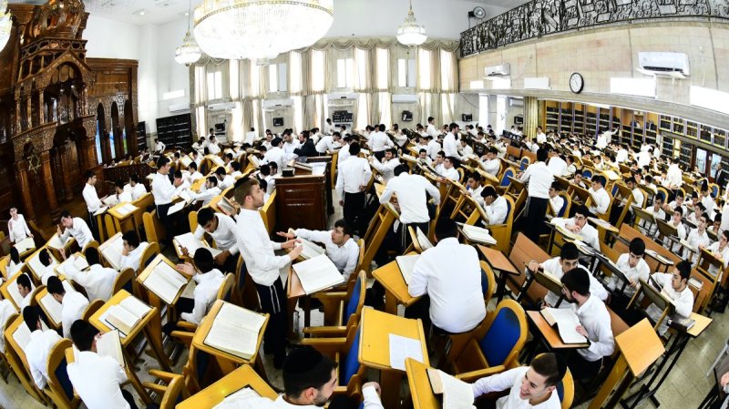 שוקי לרר