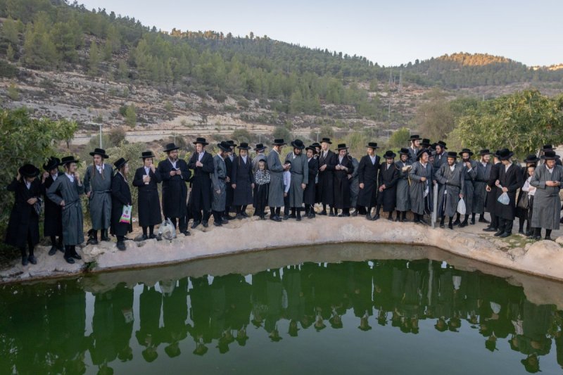 חיים גולדברג - פלאש 90