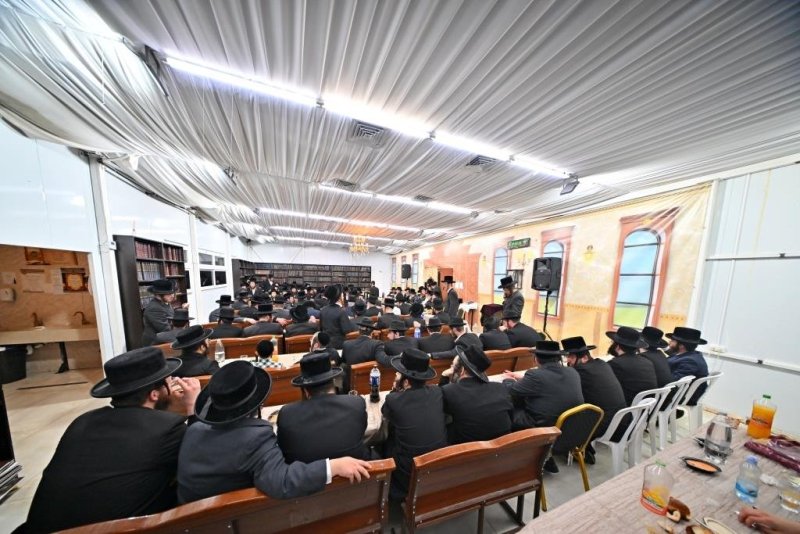 יהושע פרוכטר