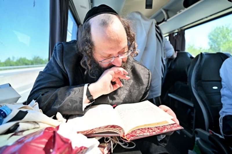 יהושע פרוכטר